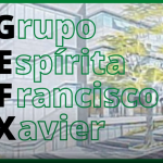 Assuntos de família - Importância da evangelização - Programa 208